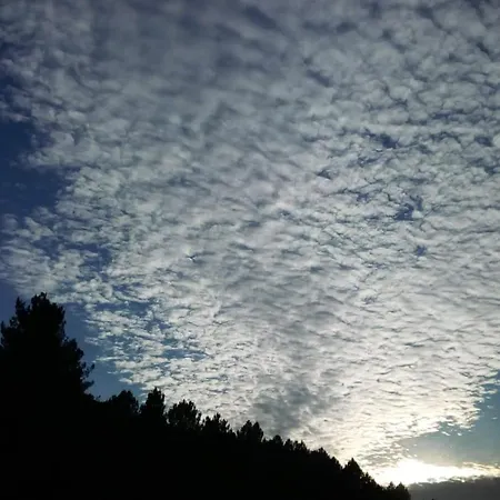 Peregrinos Por La Costa Camino Portugues As Casetas *