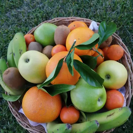 Peregrinos Por La Costa Camino Portugues As Casetas Apartman *