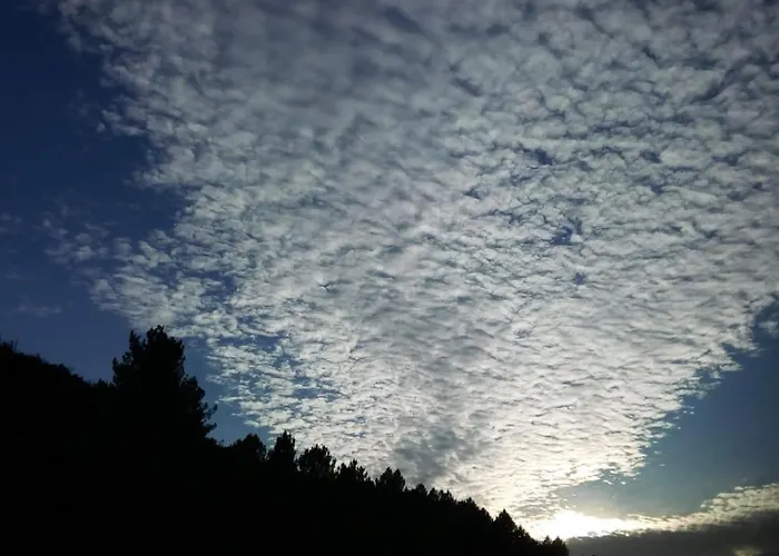 Peregrinos Por La Costa Camino Portugues As Casetas *