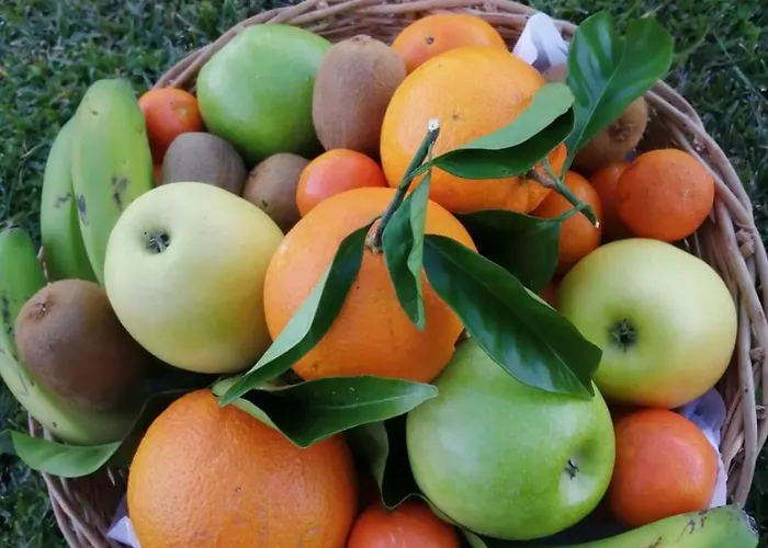 Peregrinos Por La Costa Camino Portugues As Casetas Διαμέρισμα *